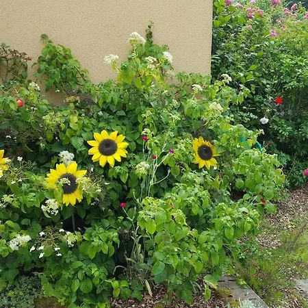Between Utah And Barfleur Σπίτι διακοπών *