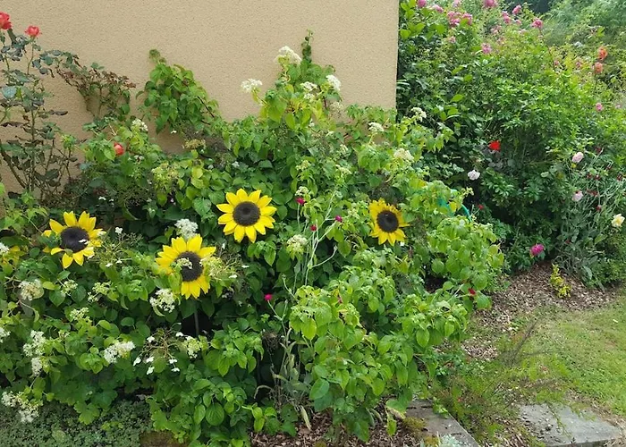 Between Utah And Barfleur Vakantiehuis *